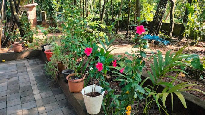 Sneh Beach Homestay - Wayangani Vengurla Zewnętrze zdjęcie